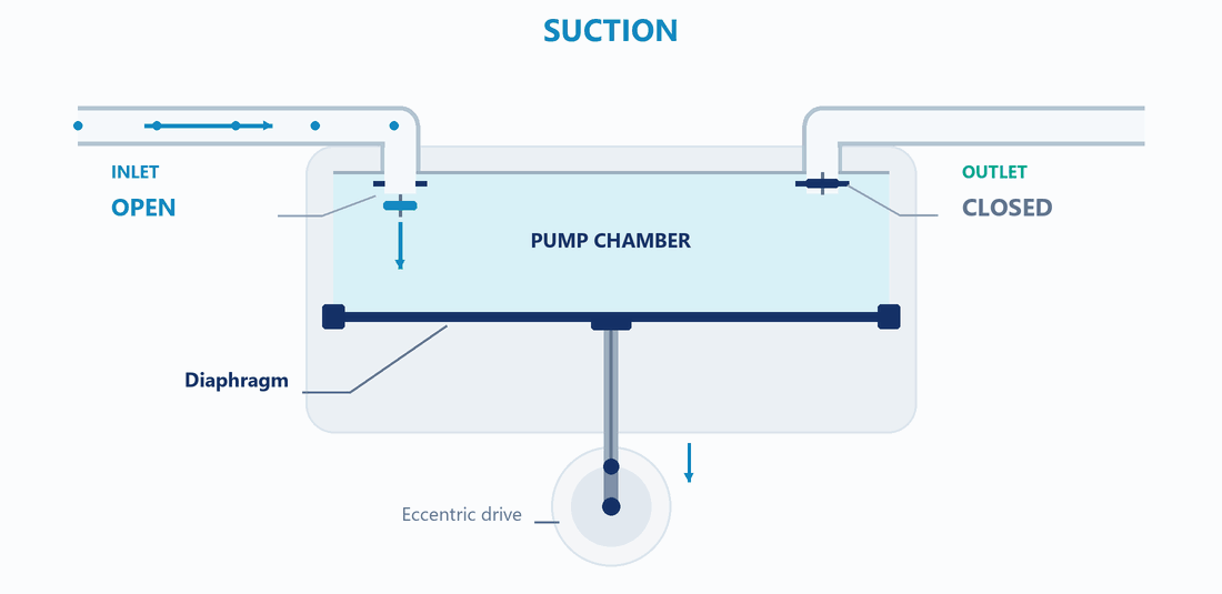 Animation of diaphragm displacement and alternating inlet and outlet check-valve operation