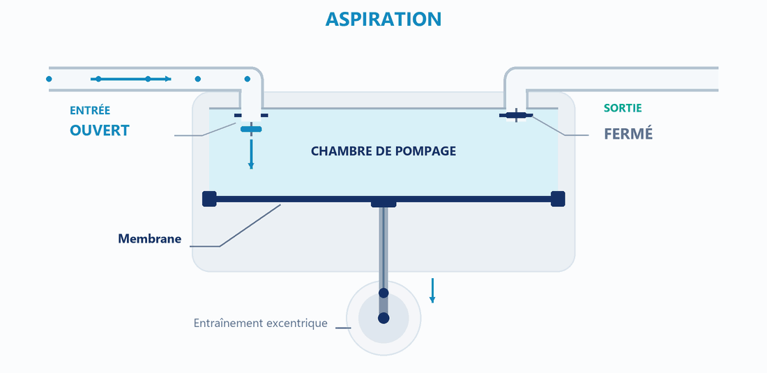 Animation du déplacement de la membrane et de l’ouverture alternée des clapets d’entrée et de sortie