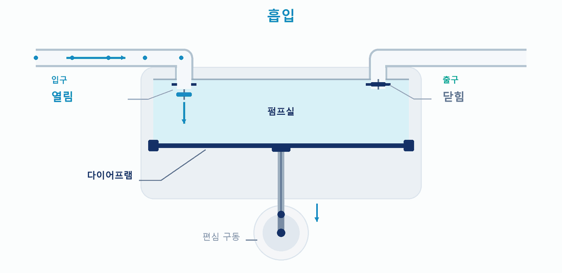 다이어프램 변위와 입출구 체크 밸브의 교대 개폐를 보여 주는 애니메이션
