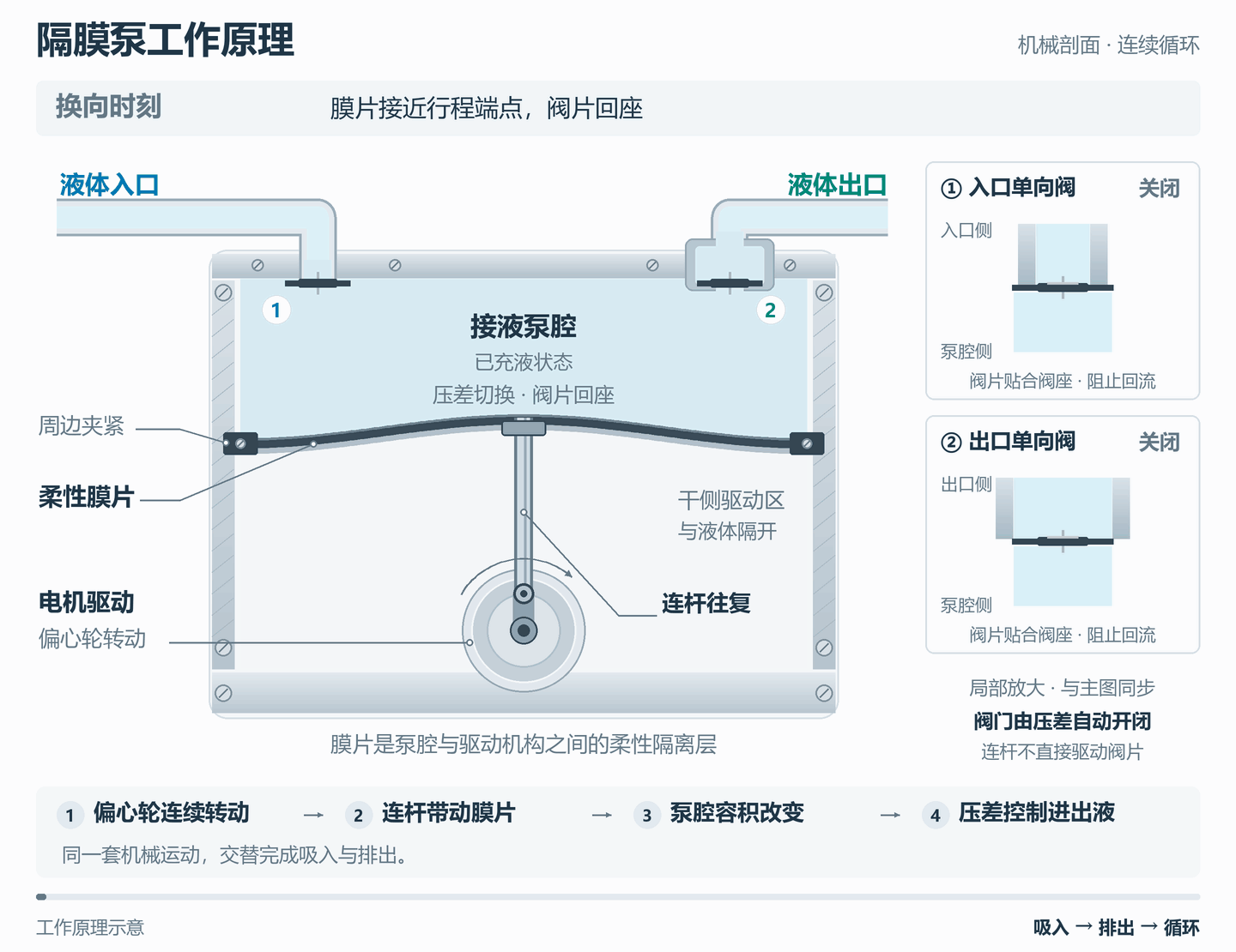 隔膜泵原理动画：偏心轮、连杆与膜片同步运动，入口和出口单向阀交替开闭，右侧同步放大阀片与阀座的状态