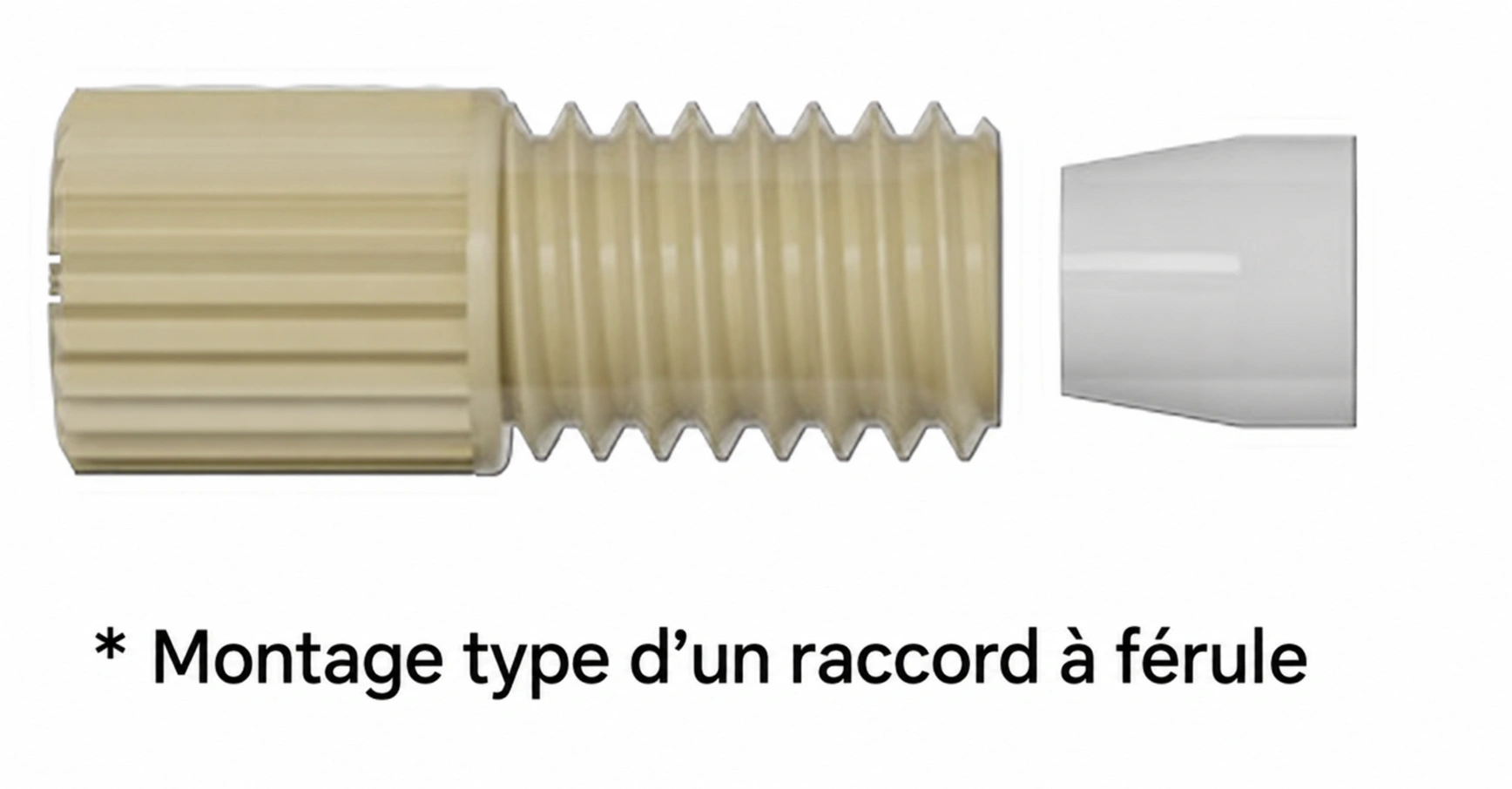 Configuration type d’un raccord à férule